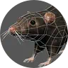 lowpoly rat