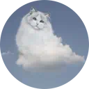 a cloud shaped like a cat